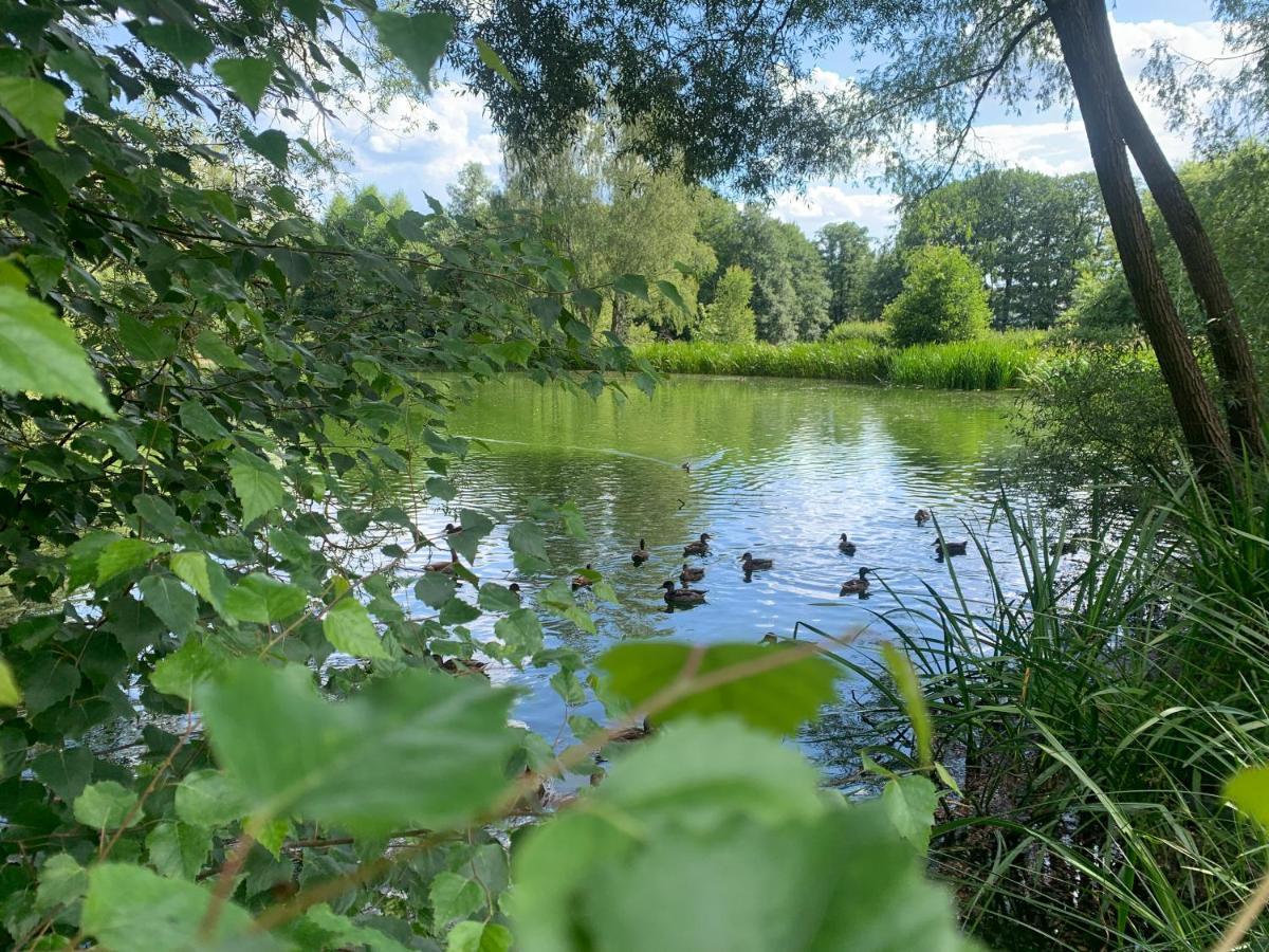 Sonneneck: Cozy Thuringian Forest Retreat With Parking And Netflix * Schleusingen